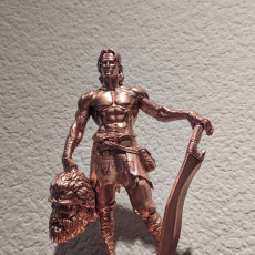 David V2 Scale 70mm