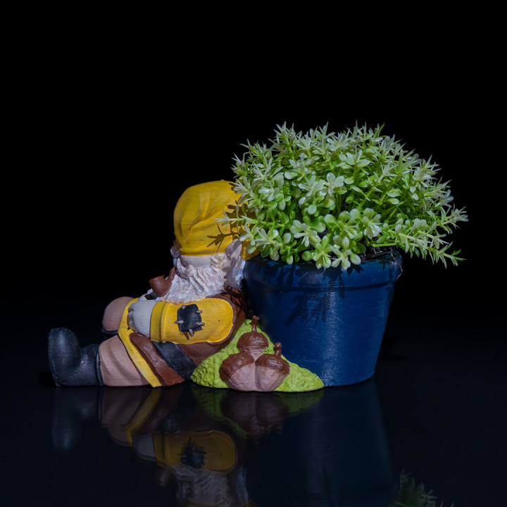 Gardening Gnome - Snooze image