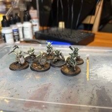 Picture of print of Warriors - Wolf Clan Goblins