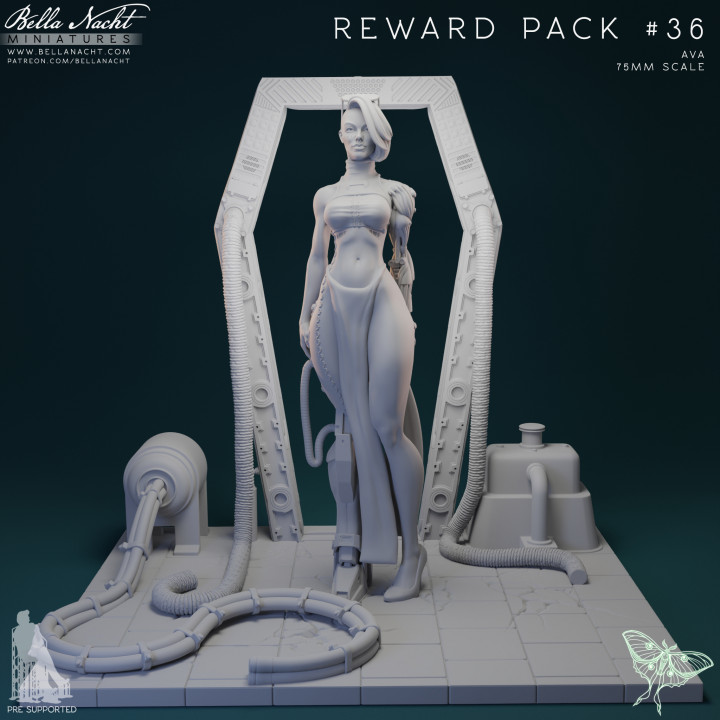 Reward Pack #36 | AVA image
