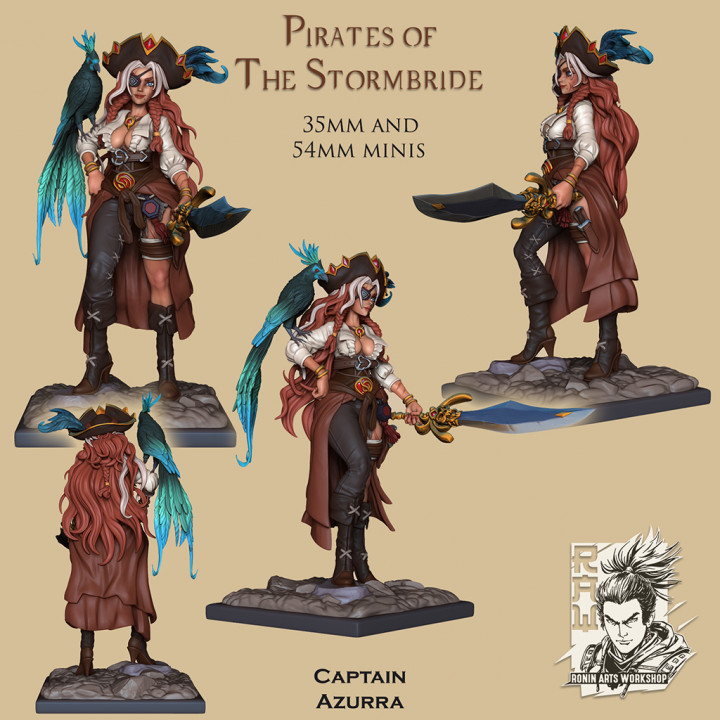 Pirate Captain Azurra image