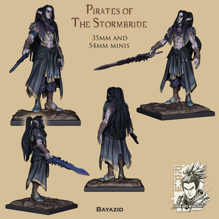 Pirate Bayazid - Elven Corsair image