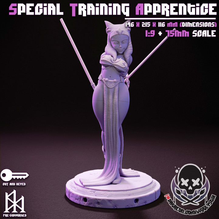 Special Training Apprentice image