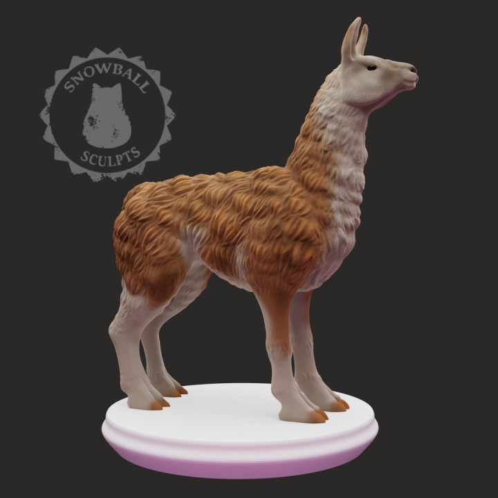 Llama Supportless image