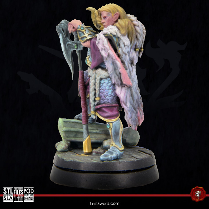 3D Printable Elven Lion Prince by LastSword Miniatures