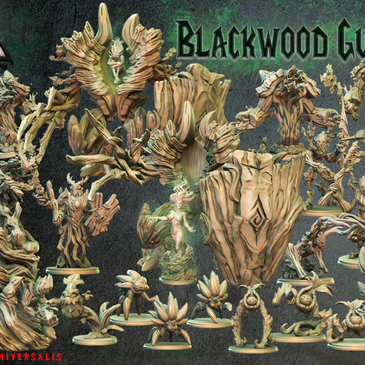 Blackwood Guardians Set image