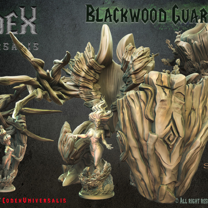 Blackwood Guardians Set image