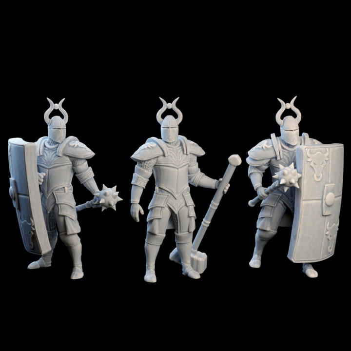 Bull Knights (3pcs) - Swords and Magic Kickstarter