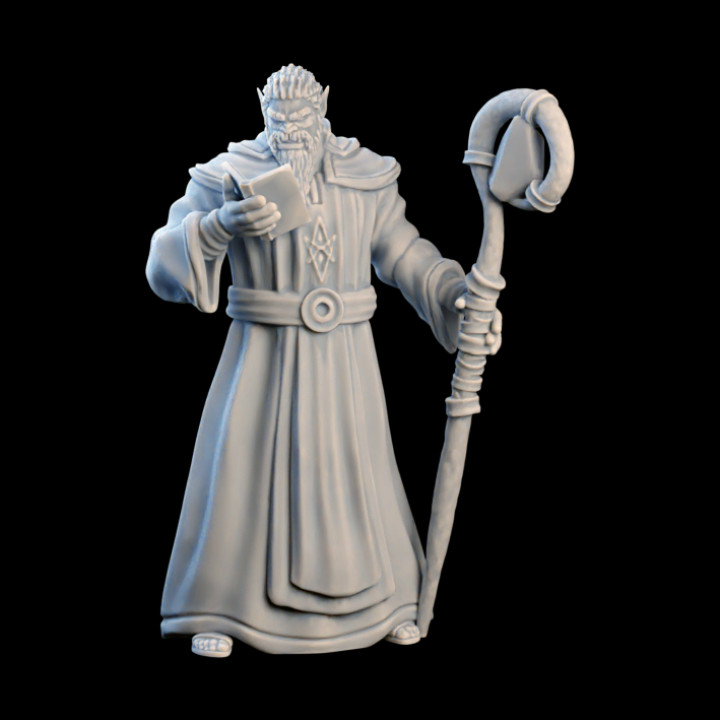 Orc Wizard - Swords and Magic Kickstarter