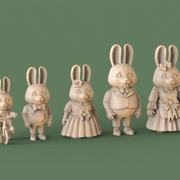 family rabbit image
