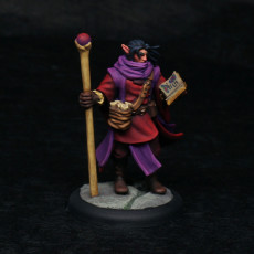 Picture of print of Elf Wizard (PRESUPPORTED)