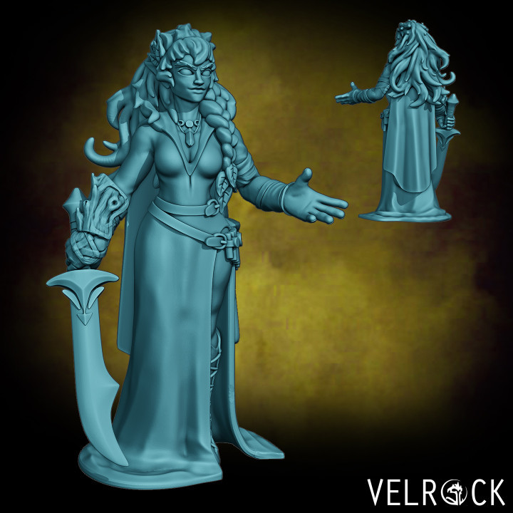Wood Elf Druid (PRESUPPORTED)