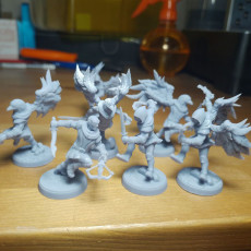 Picture of print of Wereraven 6 Pack