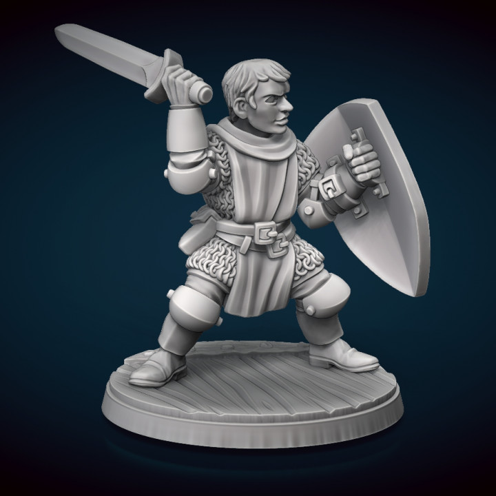 Male Human Knight Miniature image