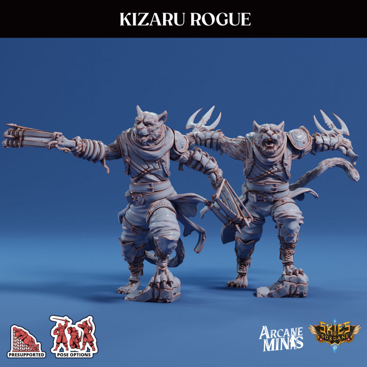 Kizaru Rogue image