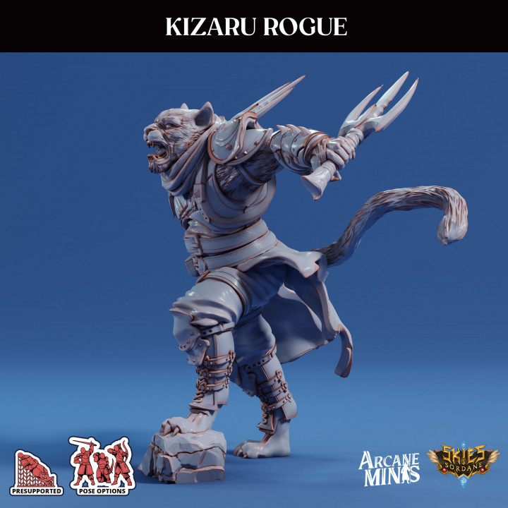 Kizaru Rogue image