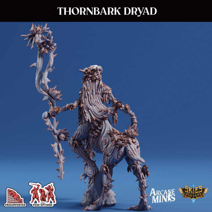 Thornbark Dryad