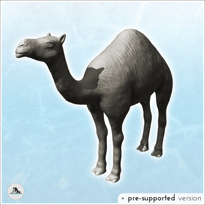 Camel (4) - Animal Savage Nature Circus Scuplture High-detailed image