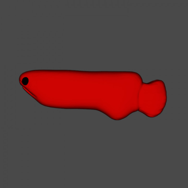 The Red Fish image