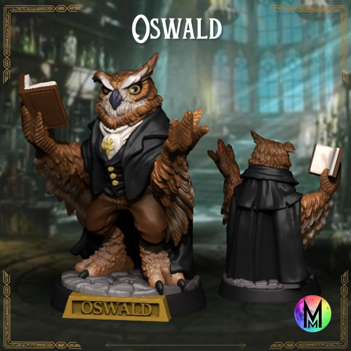 Kenku Wizard - Professor Oswald the Kenku Wizard ( Owl themed Kenku Wizard ) image