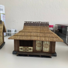 Picture of print of Japanese Farmer Village House #2 (assembly guide included)