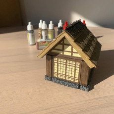 Picture of print of Japanese Farmer Village House #3 (assembly guide included)