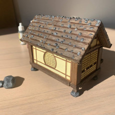 Picture of print of Japanese Farmer Village House #6 (assembly guide included)