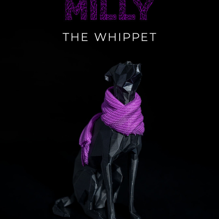 Milly, the Whippet image