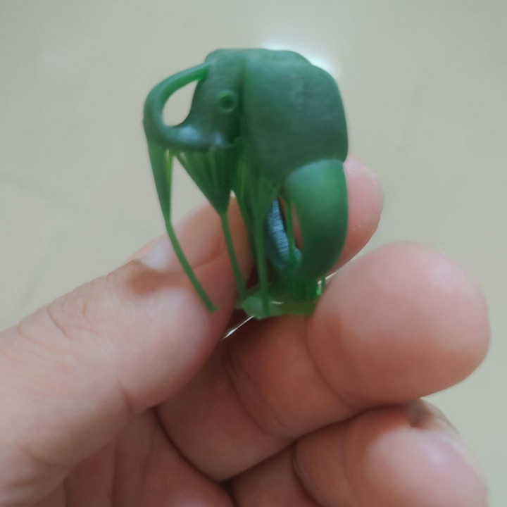 Elephant Ring image