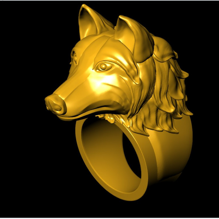 Woft Ring Dog Ring image