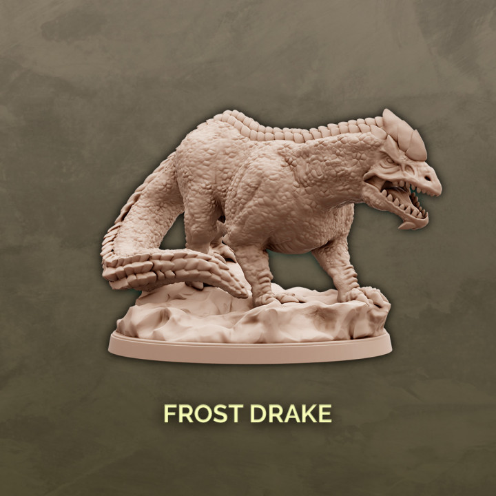 Frost Drake image