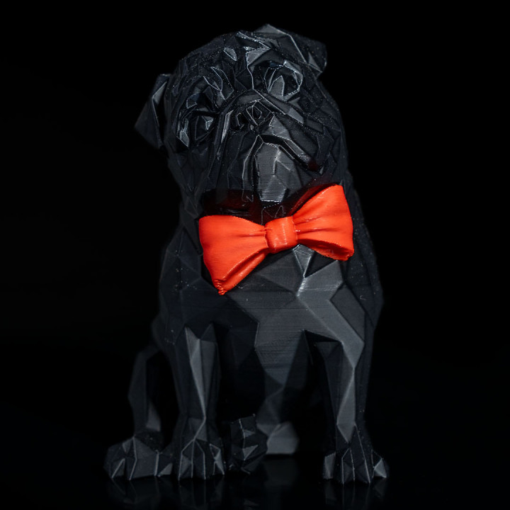 Frank, the Pug image