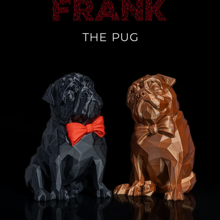 Frank, the Pug image