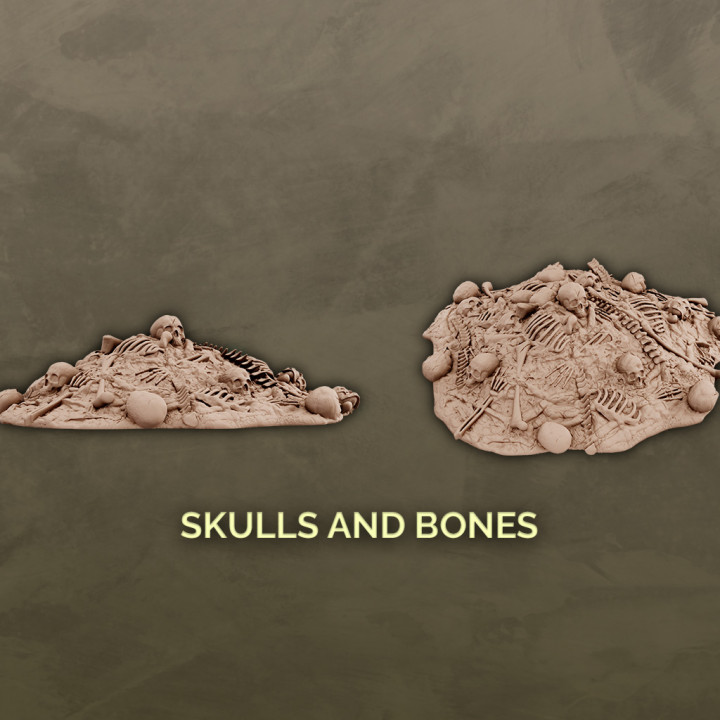 Skulls and Bones