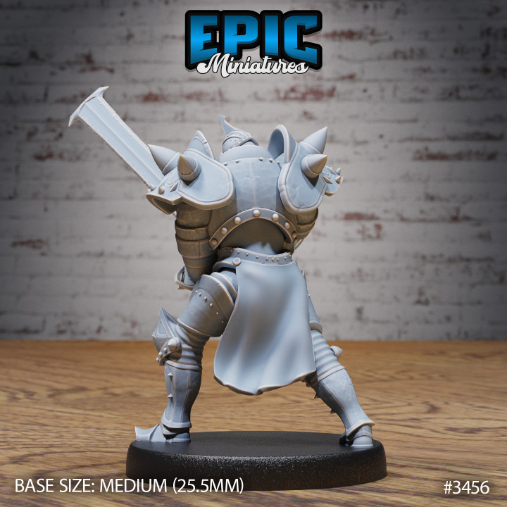 Heart Knight Attack / Royal Warrior / Fighting Guard / Armored Fighter / Evil Castle Encounter
