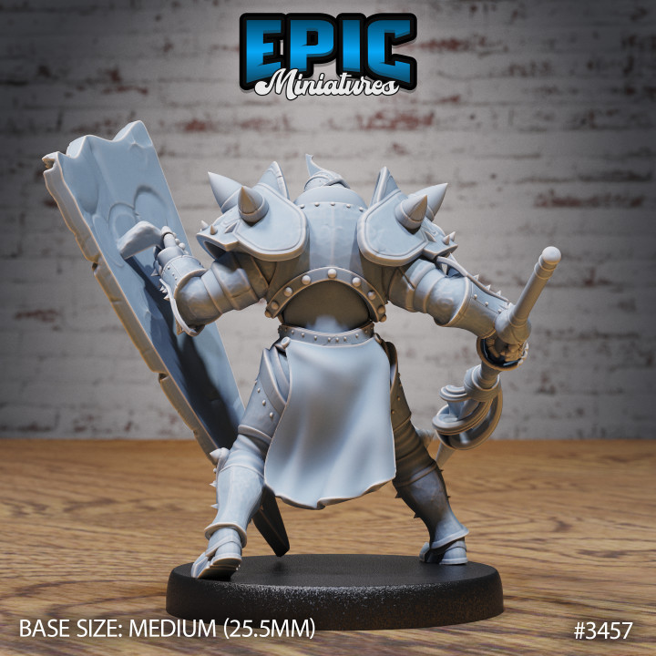 Heart Knight Defence / Royal Warrior / Fighting Guard / Armored Fighter / Evil Castle Encounter