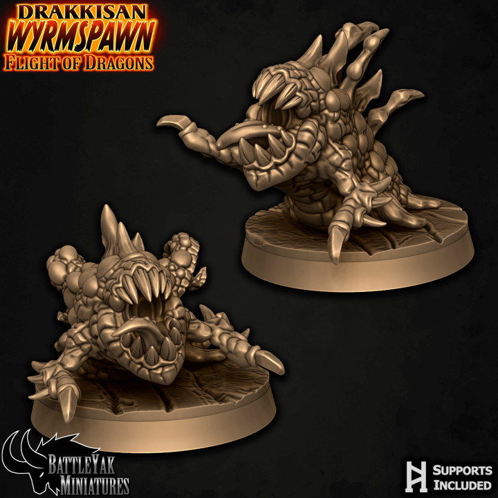 Dragonblood Miscreations 2-Pack A image