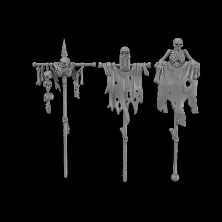 Skeleton Warriors image