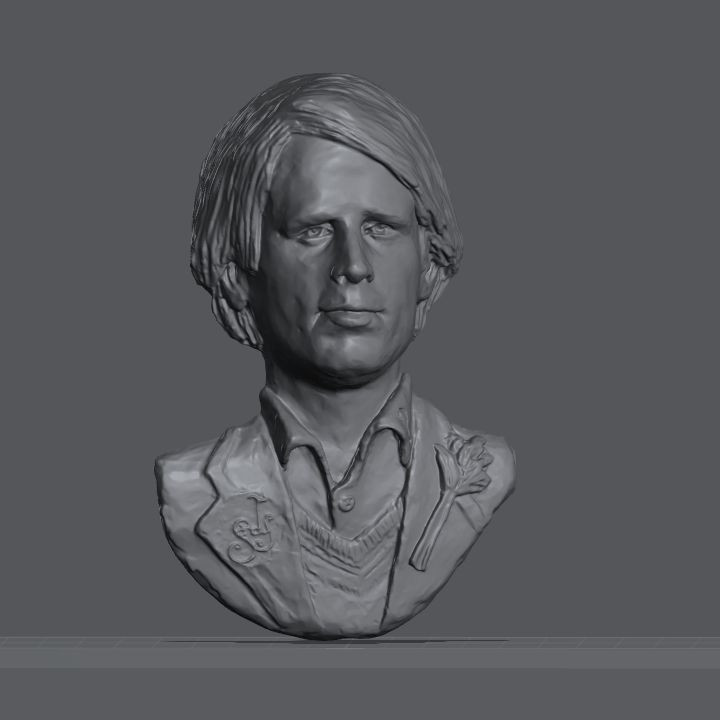 Peter Davison fifth doctor inspired Sculpture. Wall mountable. image