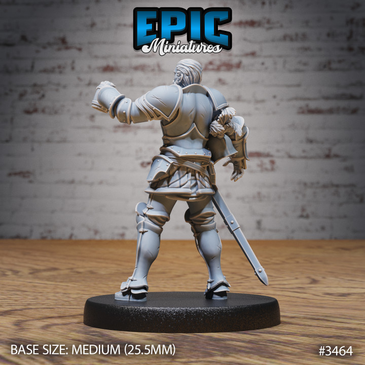 Knight Sir Tristan / Royal Male Warrior / Fighting Guard / Armored Fighter / Evil Castle Encounter