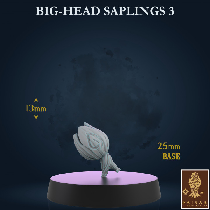 Big Head Saplings - 3 Poses's Cover