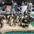 Knights of Gallia - Highlands Miniatures print image