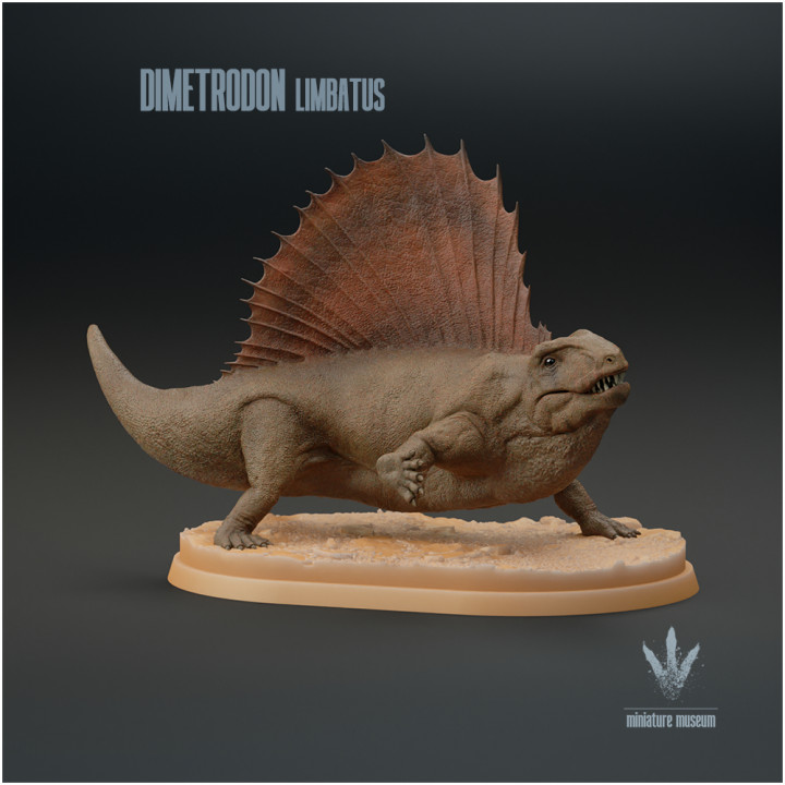 Dimetrodon limbatus : Running image