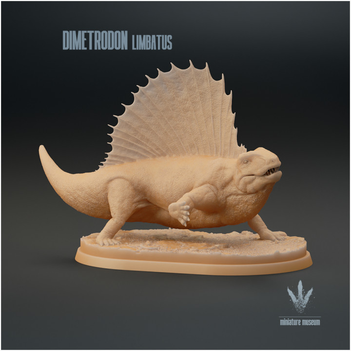 Dimetrodon limbatus : Running image