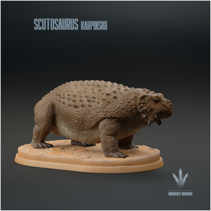 Scutosaurus karpinskii : The Shield Lizard image