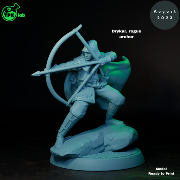 Drycar Rogue Archer