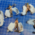 Valkyries, choosers of the slain print image