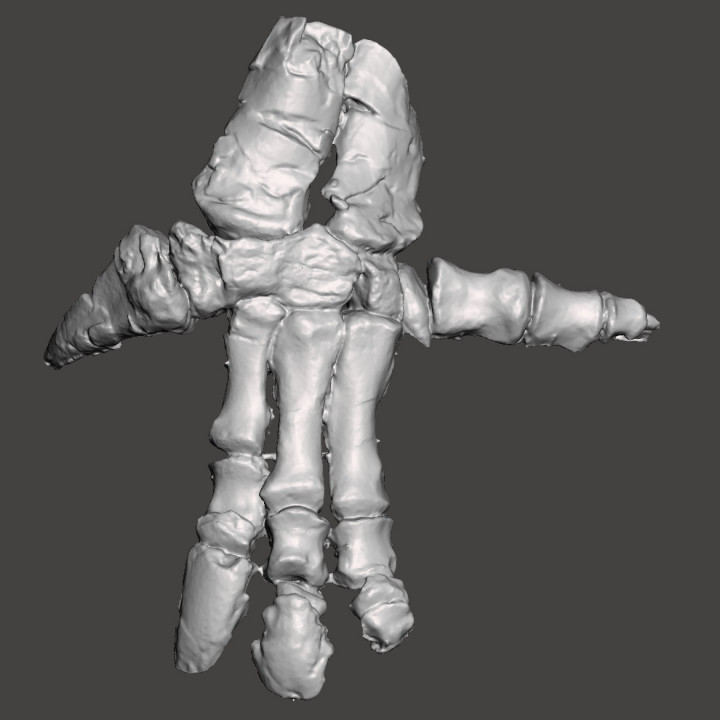 3D Printable Iguanodon hand by Rogez Benoit