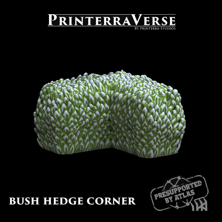 Bush/Hedge - 004-2-029 & 030 image