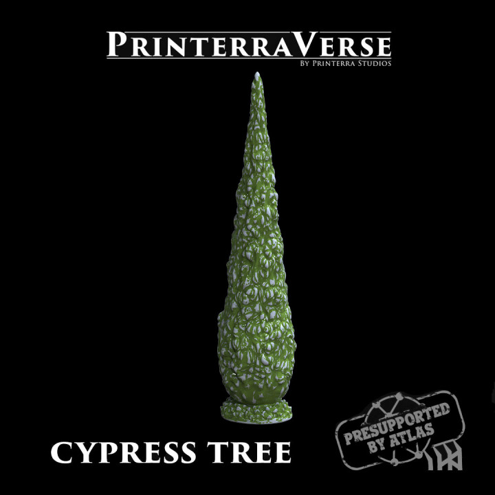 3D Printable 004 PLANT Cyprus tree by Printerra Studios